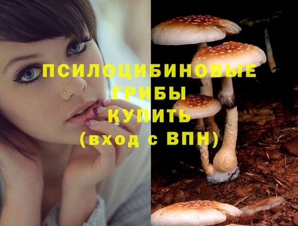 мескалин Верея