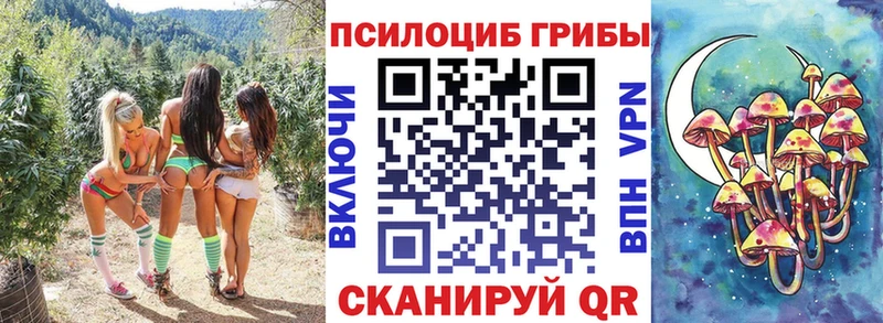 Галлюциногенные грибы Psilocybine cubensis  Мурманск 